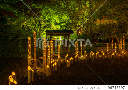 Autumn night Kumamoto Castle with autumn leaves and Hosokawa Penitentiary House illuminated and Kumamoto Castle Castle Festival Autumn night Kumamoto Castle with autumn leaves and Hosokawa Penitentiary House illuminated and Kumamoto Castle Castle Festival 96757397