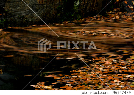 [北海道美瑛町]水面上的落葉 96757489