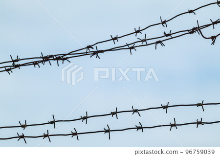 Barbed sharp metal wire on a gray background Barbed sharp metal wire on a gray background 96759039