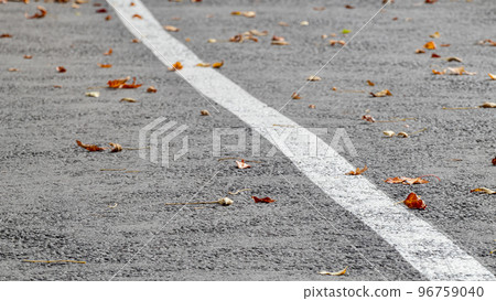 Dry leaves on asphalt road with white divider line Dry leaves on asphalt road with white divider line 96759040