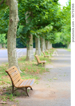 wooden benches in the park 96759366