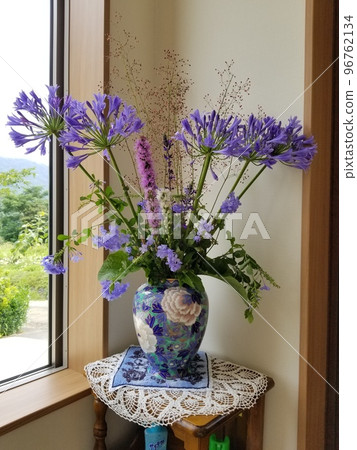 Agapanthus flower arrangement 96762134