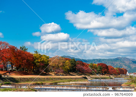 Autumn leaves along the Kamo River_1259 Autumn leaves along the Kamo River_1259 96764009