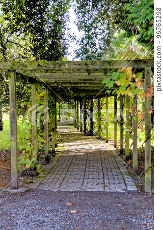 Margam country park garden - Margam Country Park Margam country park garden - Margam Country Park 96765298