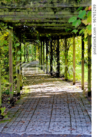 Margam country park garden - Margam Country Park 96765299