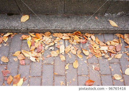 Fallen leaves 96765416