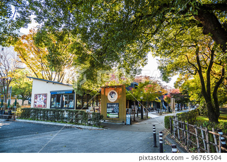 《Aichi Prefecture》Nagoya City, Nagoya Castle Kinshachi Yokocho Muneharu Zone with Autumn Leaves 《Aichi Prefecture》Nagoya City, Nagoya Castle Kinshachi Yokocho Muneharu Zone with Autumn Leaves 96765504