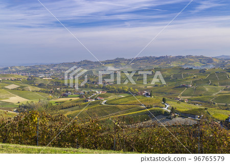 autumnal vineyards, Piedmont, Italy autumnal vineyards, Piedmont, Italy 96765579