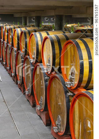 wine cellar full of wooden barrels in Barolo, Piedmont, Italy 96765597