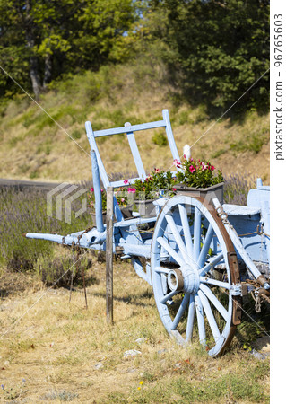 blue wooden cart with lavenders blue wooden cart with lavenders 96765603