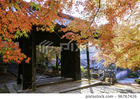 Akizuki Castle Ruins with Beautiful Autumn Leaves (Asakura City, Fukuoka Prefecture) 96767426