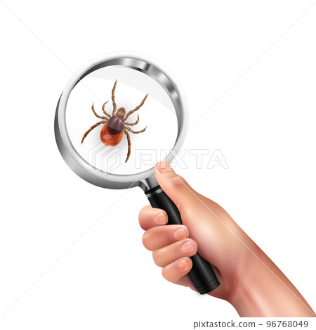 Realistic Spider Mite Lens Composition Realistic Spider Mite Lens Composition 96768049