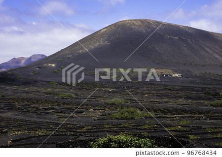 The Wine Valley of La Geria - Lanzarote, Spain The Wine Valley of La Geria - Lanzarote, Spain 96768434