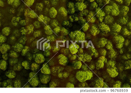 round picture of green decorative moss with LED lighting on the wall. 96768939