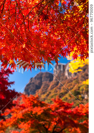 《Gunma Prefecture》Autumn Mt. Myogi・Autumn leaves season 96770009