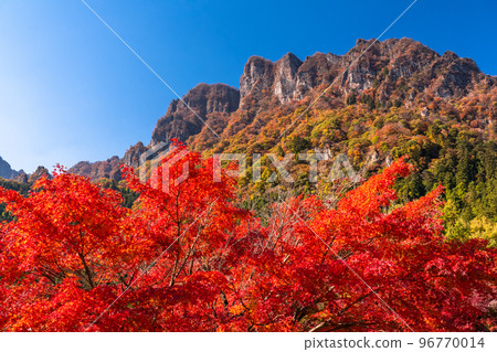 《群馬縣》秋季妙義山・紅葉季 96770014