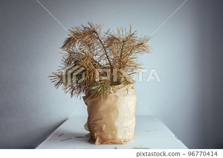 Christmas tree branches dried over time in vase in kraft paper. Photo concept of environmental protection from plastic. Bouquet of pine branches in room on table. Copy space for text. Christmas tree branches dried over time in vase in kraft paper. Photo concept of environmental protection from plastic. Bouquet of pine branches in room on table. Copy space for text. 96770414