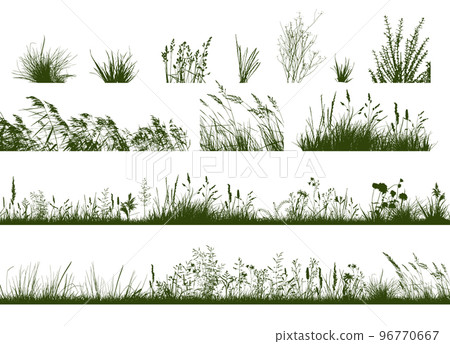 Set of horizontal banners of meadow silhouettes with grass. Vector illustration 96770667