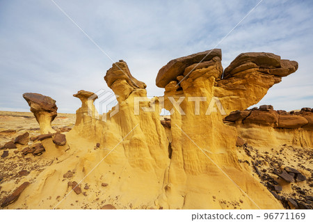 Bisti Bisti 96771169