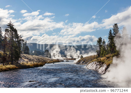 Yellowstone 96771244