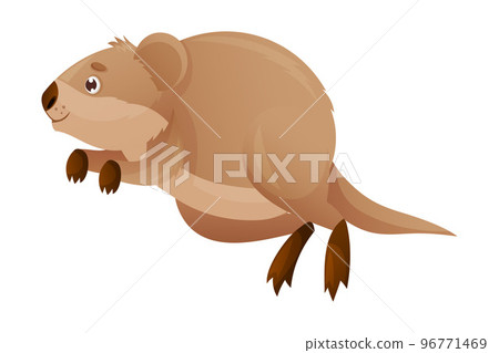 Funny Quokka as Short-tailed Scrub Wallaby with Rounded Ears Jumping Vector Illustration Funny Quokka as Short-tailed Scrub Wallaby with Rounded Ears Jumping Vector Illustration 96771469