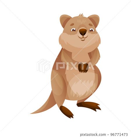 Funny Quokka as Short-tailed Scrub Wallaby with Rounded Ears Standing on Hind Legs and Smiling Vector Illustration Funny Quokka as Short-tailed Scrub Wallaby with Rounded Ears Standing on Hind Legs and Smiling Vector Illustration 96771473