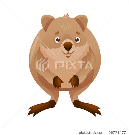 Funny Quokka as Short-tailed Scrub Wallaby with Rounded Ears Standing on Hind Legs and Smiling Vector Illustration 96771477