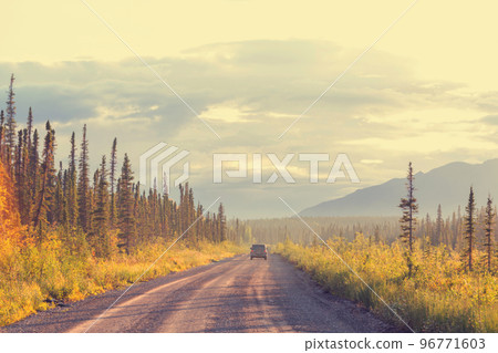 Road in Alaska 96771603
