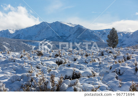 Winter in Sierra Nevada Winter in Sierra Nevada 96771694