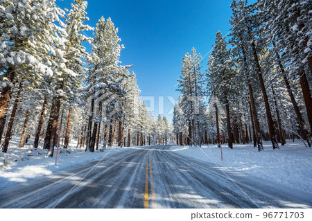 Winter road Winter road 96771703