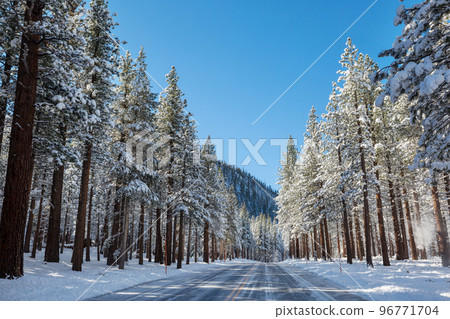Winter road Winter road 96771704