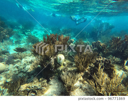 Group of people snorkeling near sunken ship under the sea. Beautifiul underwater colorful coral reef at Caribbean Sea at Honeymoon Beach on St. Thomas, USVI Group of people snorkeling near sunken ship under the sea. Beautifiul underwater colorful coral reef at Caribbean Sea at Honeymoon Beach on St. Thomas, USVI 96771869