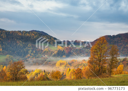 Mountain rural landscape in an autumn foggy morning. 96773173