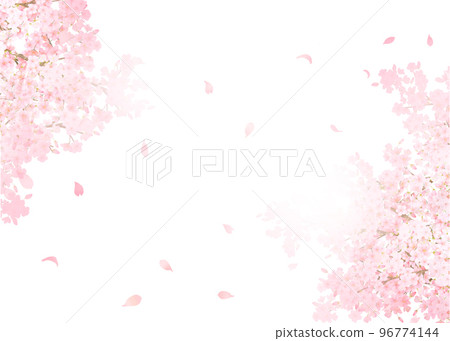 盛開的美麗華麗的淡粉色櫻花-夢幻般的白色背框背景素材，飄落的花瓣 96774144
