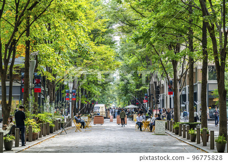 [東京]綠樹成蔭的丸之內仲通 96775828