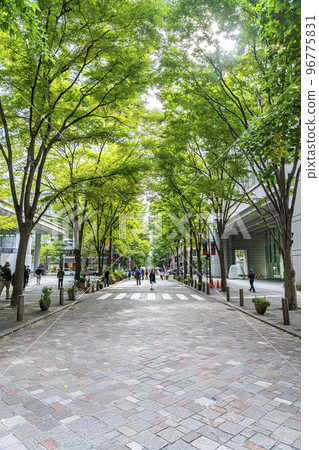 [Tokyo] Marunouchi Naka-dori with beautiful green trees 96775831