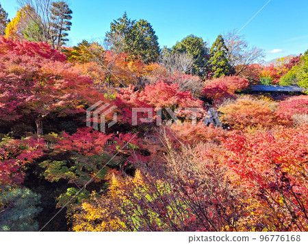 The autumnal sea 96776168