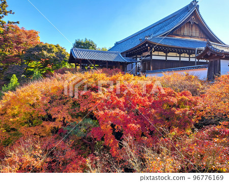 Honjo and autumn leaves Honjo and autumn leaves 96776169