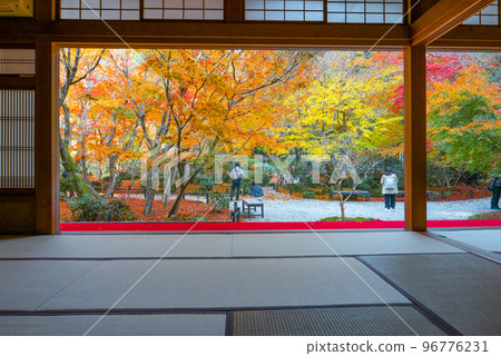 A view of a Japanese garden from a Japanese-style room 96776231