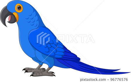 Cartoon Hyacinth Macaw on White Background 96776576