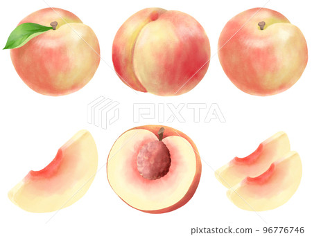 Peach illustration set expressed in watercolor Peach illustration set expressed in watercolor 96776746