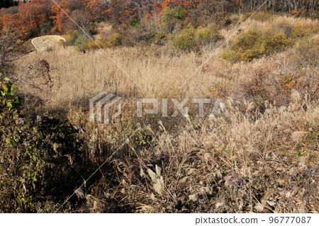 被遺棄的土地在山上 96777087