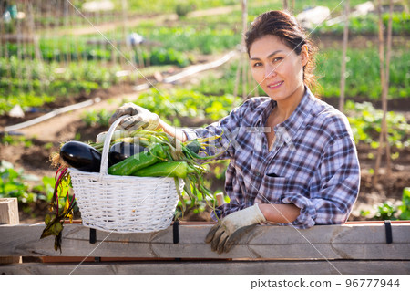 Happy asian woman showing vegetable crop in kitchen garden Happy asian woman showing vegetable crop in kitchen garden 96777944