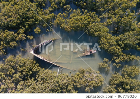 森林中的沉船 森林中的沉船 96779020