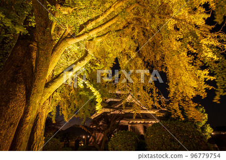 晚上有秋葉的熊本城,點亮和城堡節日 晚上有秋葉的熊本城,點亮和城堡節日 96779754