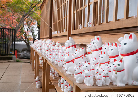 Lucky Cat Child of Gotokuji Shofukuden 96779802