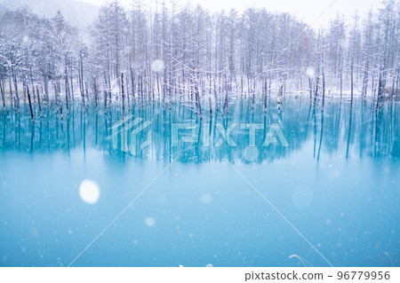 北海道的冬季風景 白雪皚皚的藍池 96779956