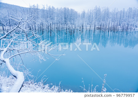 A superb view of Hokkaido Blue Pond covered with snow 96779957