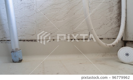 Black mold in the bathroom 96779962