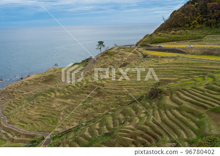 Harvested Shiroyone Senmaida and Hokuriku-like cloudy sky｜Wajima City, Ishikawa Prefecture, Noto Peninsula｜Globally Important Agricultural Heritage Systems 96780402